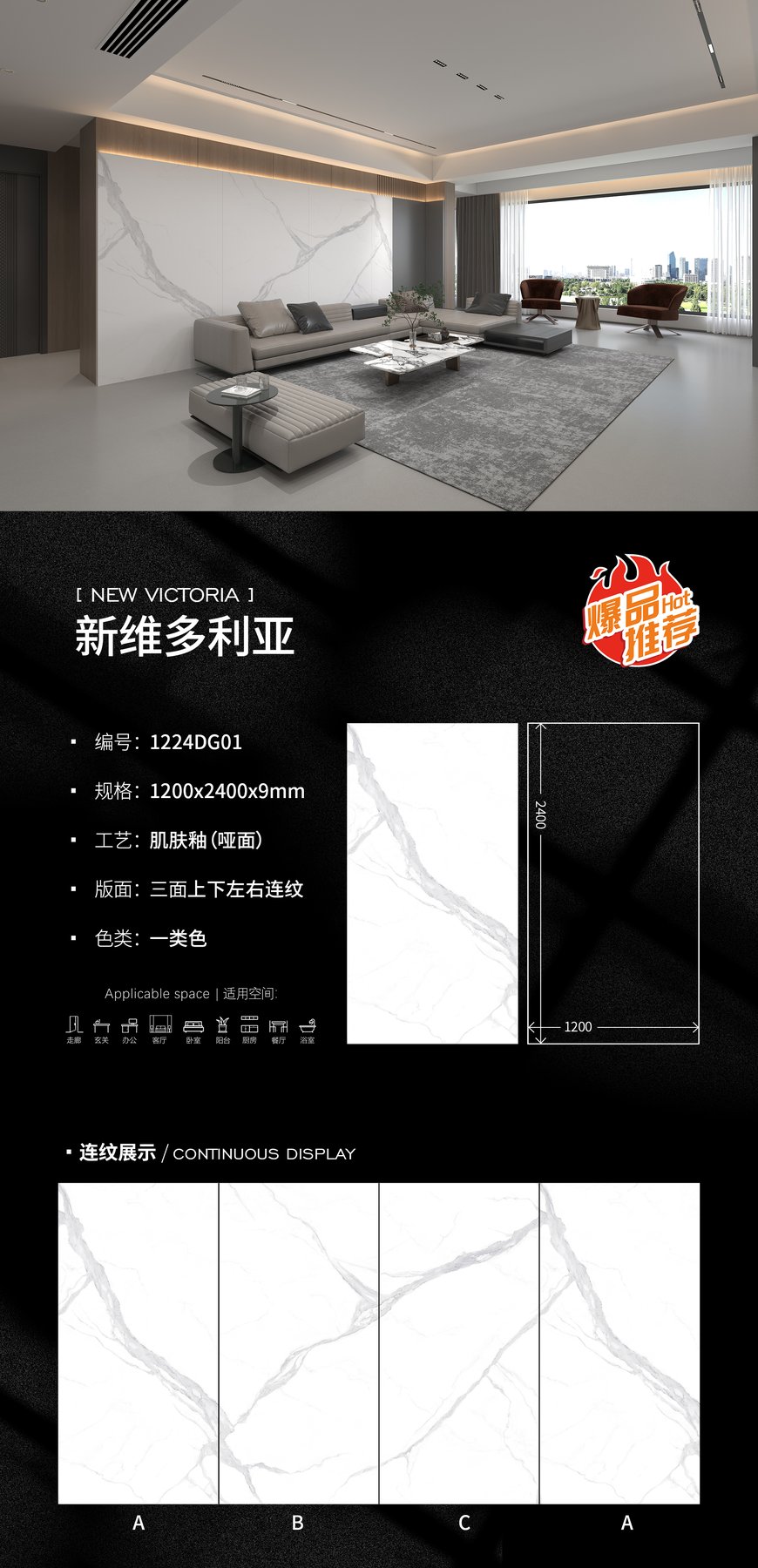 1224DG01 · 1200×2400 mm · 9 mm · Matte sintered stone