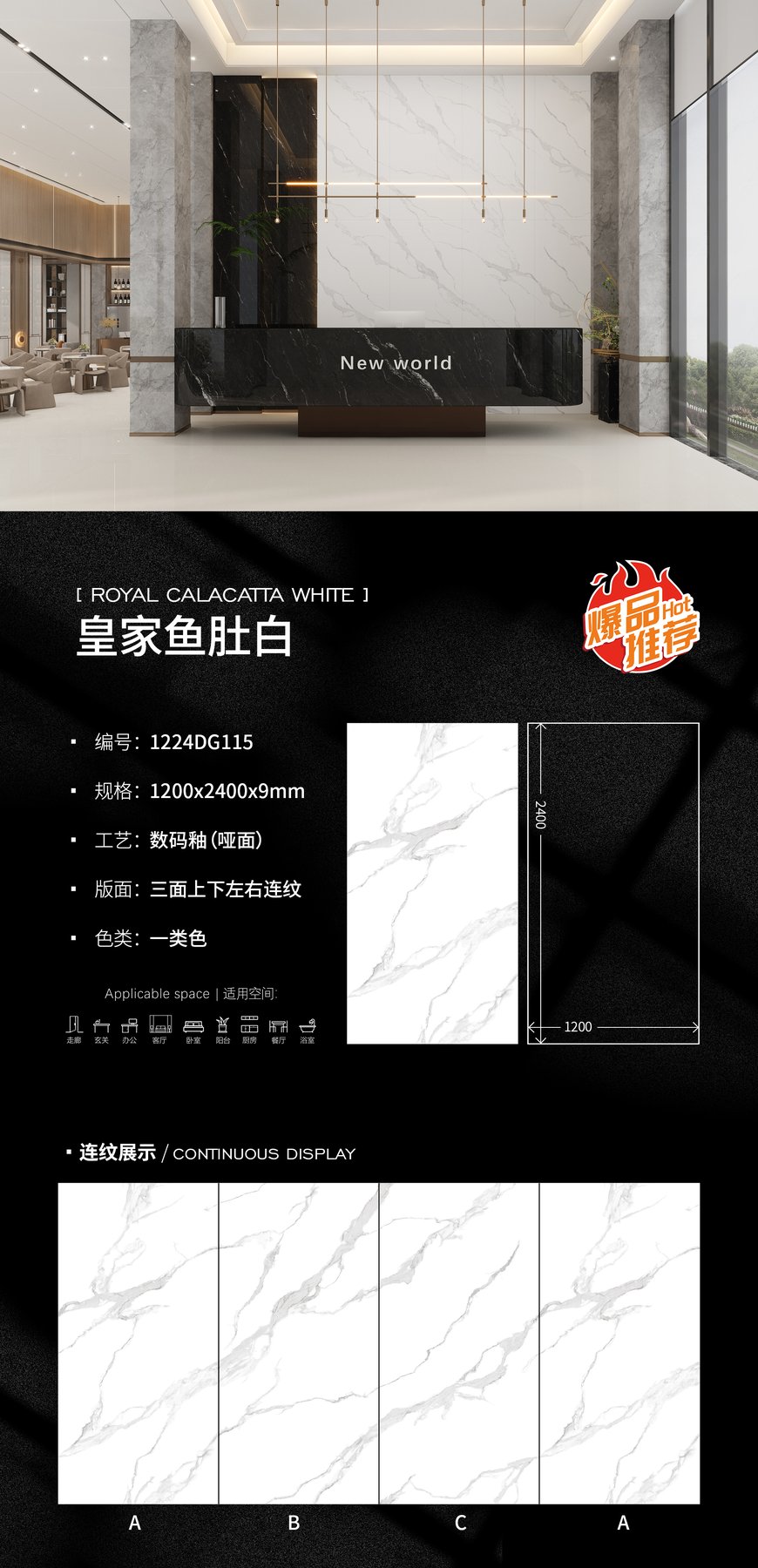 1224DG115 · 1200×2400 mm · 9 mm · Matte sintered stone