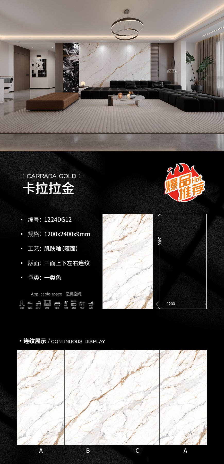1224DG12 · 1200×2400 mm · 9 mm · Matte sintered stone
