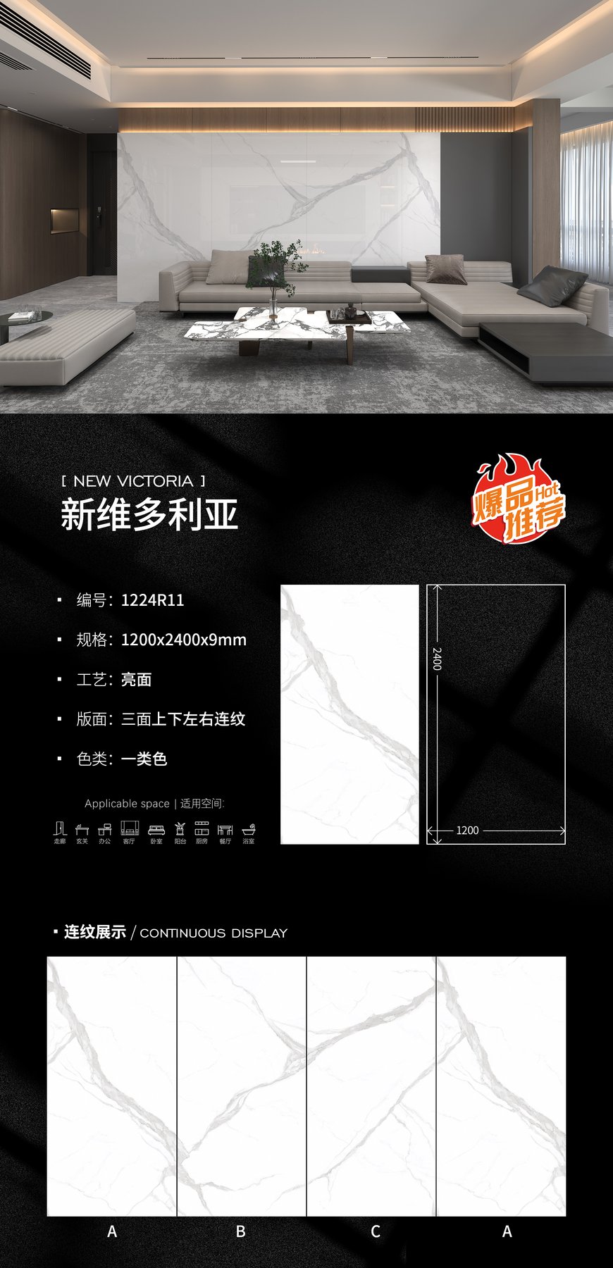 1224R11 · 1200×2400 mm · 9 mm · Glossy sintered stone