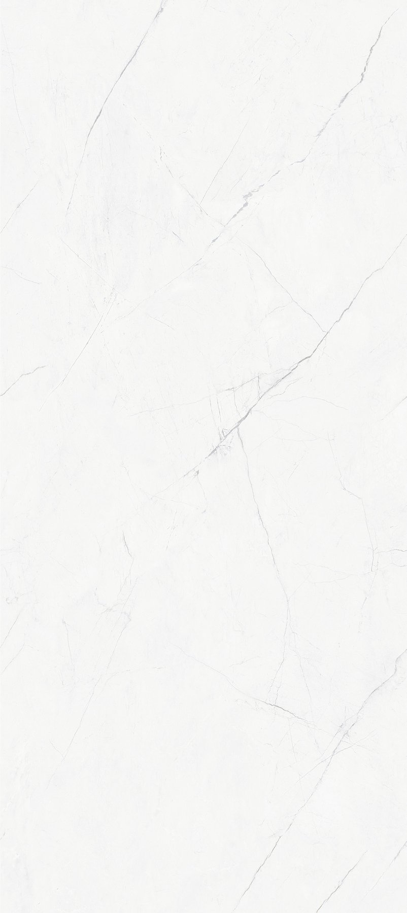 D2619 · 800×2600 mm · 9 mm · Glossy sintered stone